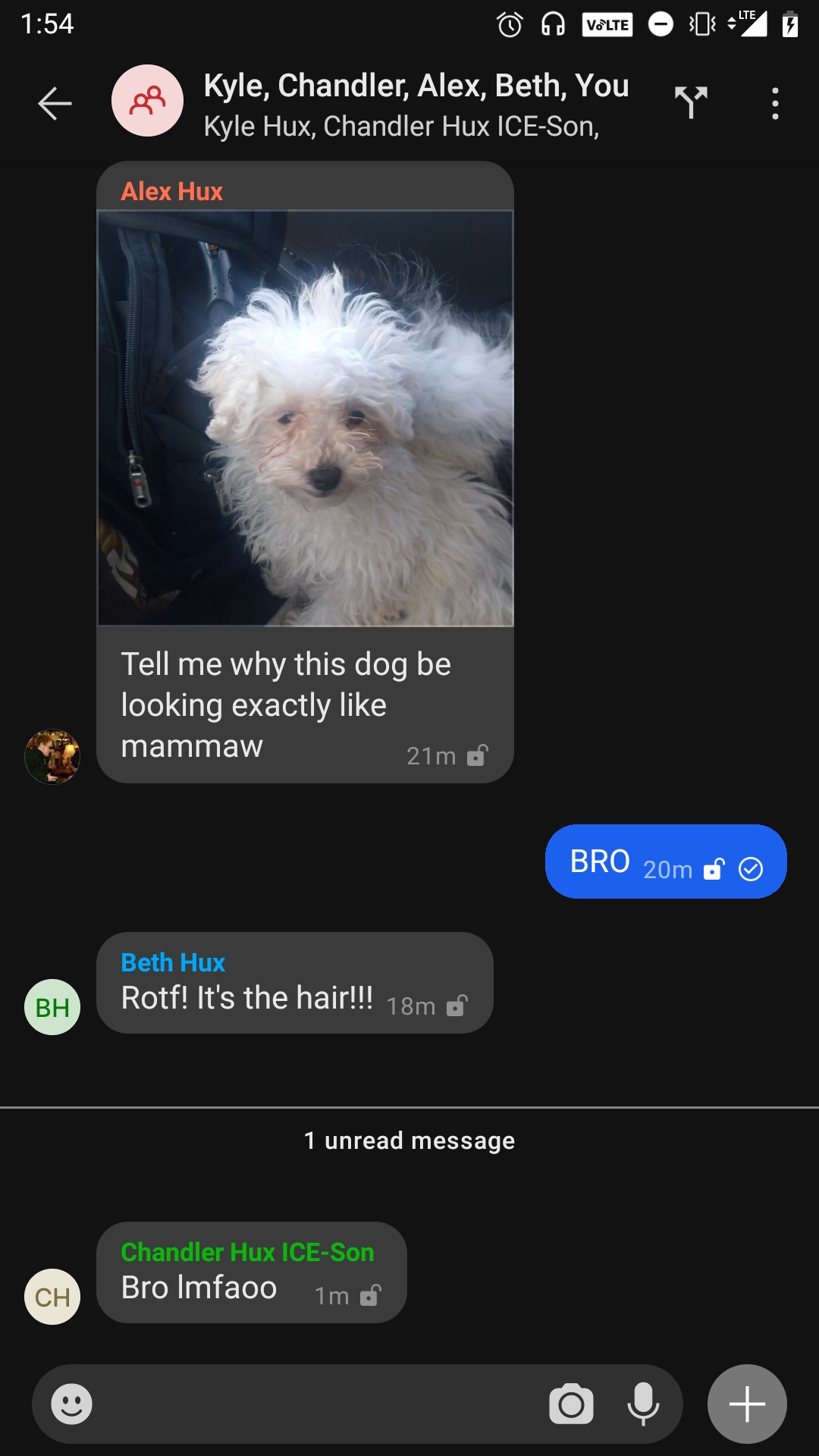 Mammaw Came Back as a Dog!